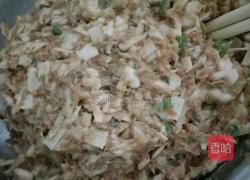 白菜饺子的做法图解3