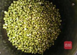 发绿豆芽的做法图解3