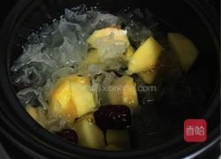 木瓜雪耳牛奶的做法图解4