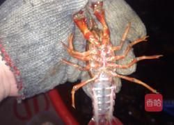 香辣小龙虾的做法图解1