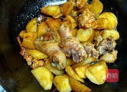土豆炖鸡腿的做法图解5