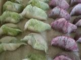 翡翠白菜饺子皮的制作