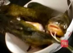 白炖昂刺鱼的做法图解1
