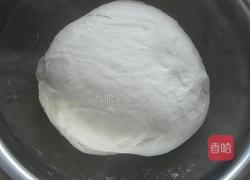 茴香猪肉馅饼的做法图解6