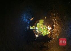 皮蛋拌樱玉豆腐的做法图解4