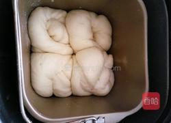 炼奶面包(中种）面包机版的做法图解7