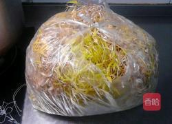 培植绿豆芽的做法图解3