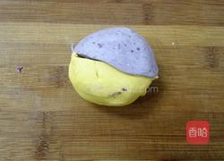 彩色汤圆的做法图解4