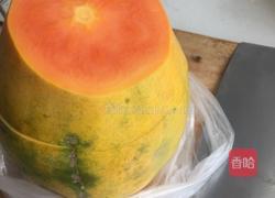 木瓜椰奶冻的做法图解5