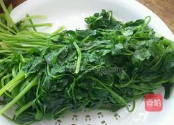 毛芹菜馅饺子的做法图解7