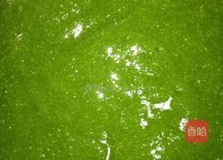 柴豆腐的做法图解4