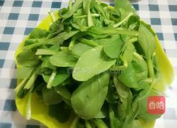 鸡毛菜炒百叶丝的做法图解2