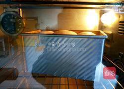 妃娟100％中种北海道醇奶土司的做法图解16