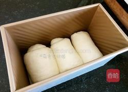 妃娟100％中种北海道醇奶土司的做法图解13