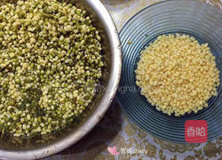纯手工绿豆糕（原味低糖版）的做法图解3