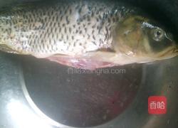 麻辣红烧鲤鱼的做法图解1