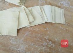 鲜肉小馄饨的做法图解2
