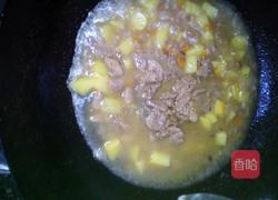 土豆咖喱鸭肉饭的做法图解9