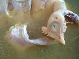 猪肚煲鸡