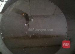 简单猫耳朵的做法图解9