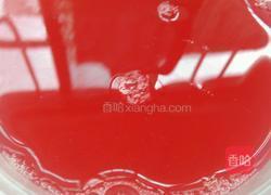 酸梅汤的做法图解3