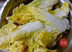 砂锅炖五花肉冻豆腐娃娃菜的做法图解3