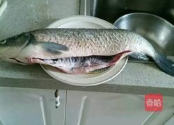 自制酸菜鱼的做法图解1
