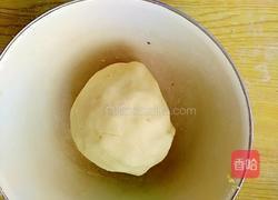 金猪送福的做法图解4