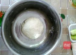 水煎萝卜丝肉包的做法图解3