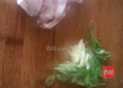 芹菜炒粉条的做法图解3