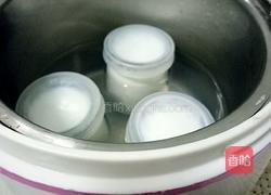 焖烧锅自制酸奶（不耗电）的做法图解2
