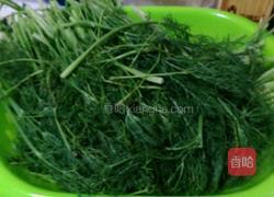 猪肉茴香馅包子的做法图解1