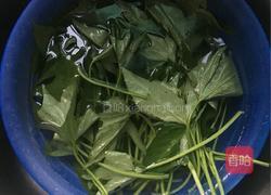 蒜香红薯叶的做法图解2