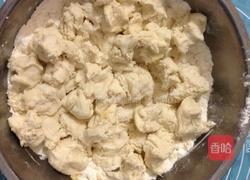 椰蓉花朵面包 冷藏中种法的做法图解2