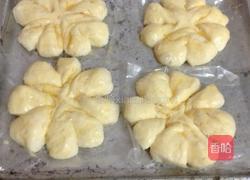 椰蓉花朵面包 冷藏中种法的做法图解11