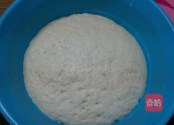 瘦肉包子的做法图解4