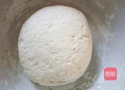 白萝卜肉包子的做法图解1