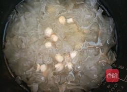 西瓜银耳羹的做法图解7