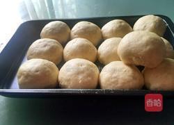 香菇鸡肉包的做法图解5