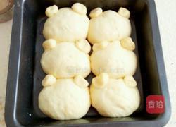 淡奶油小熊挤挤包的做法图解12