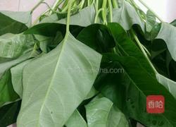 炒空心菜的做法图解1