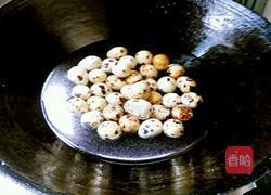 绿豆芽孵鹌鹑蛋的做法图解2