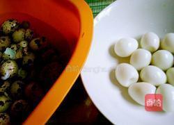 绿豆芽孵鹌鹑蛋的做法图解5