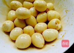 绿豆芽孵鹌鹑蛋的做法图解7