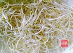 酸辣绿豆芽的做法图解1