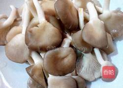 平菇炒卷心菜的做法图解2