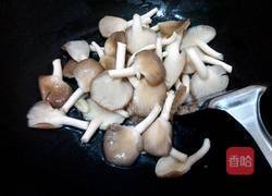 平菇炒卷心菜的做法图解5