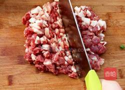 猪肉南瓜水饺的做法图解4
