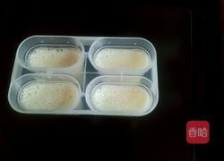 荔枝提子冰块的做法图解4