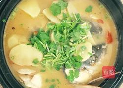 番茄土豆鱼头煲的做法图解13